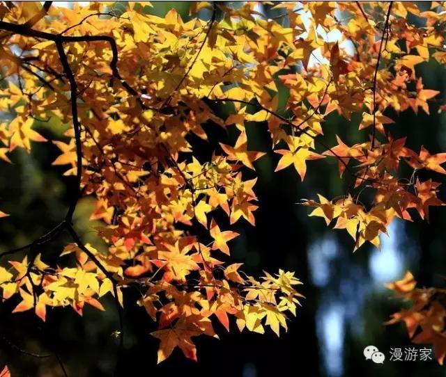 海子面朝大海春暖花开简笔画,海子面朝大海春暖花开画