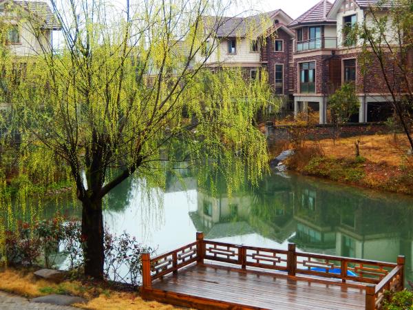 漫游武夷山之自驾游,漫游武夷记