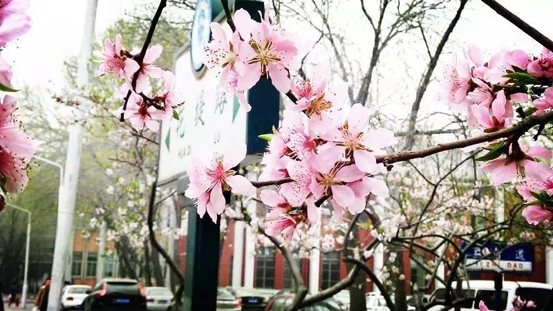 一大波的好消息袭来,一大波的好消息蜂拥而至