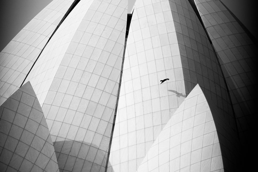 走去哪里粤语,去哪走天竺