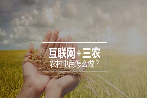 农村电商领头人培训,如何发展农村电子商务