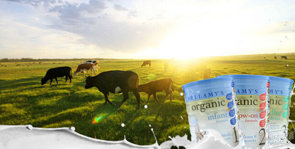 一个奶爸的辛酸与育儿心得,一个奶爸的励志之路