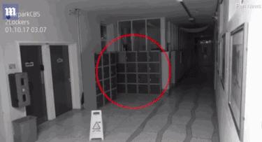 爱尔兰闹鬼事件真的吗,爱尔兰闹鬼事件真的上报了吗