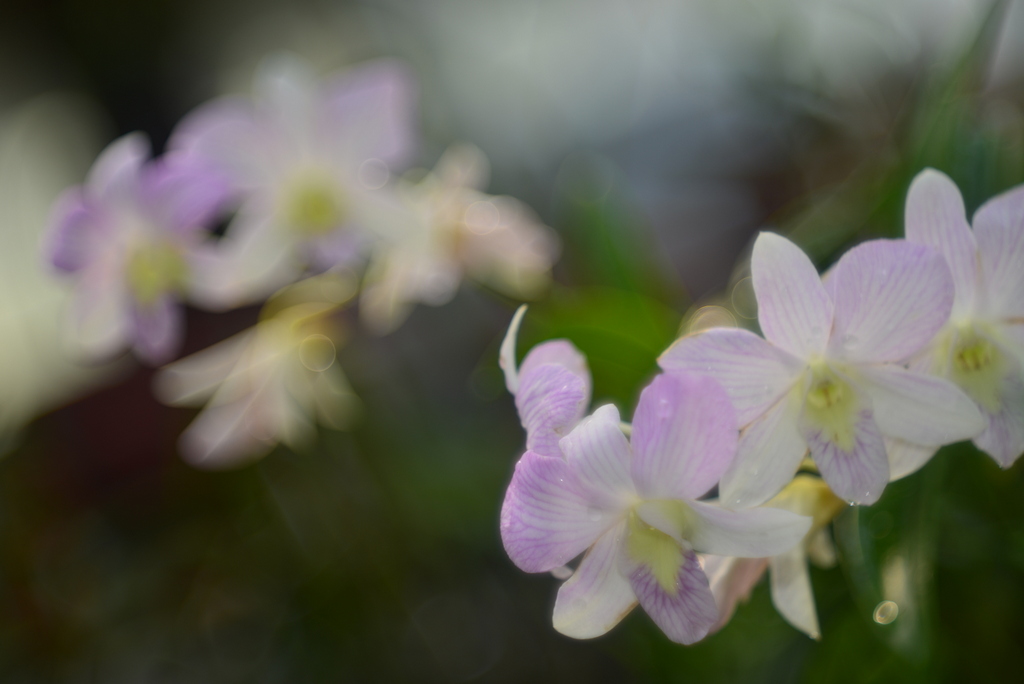 徕卡最新款全画幅报价,徕卡q系列最新款