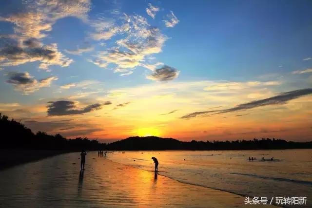 2017阳新最全通讯录！人手一份，一定用得上！赶紧收藏！