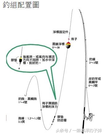 海洋矶钓怎么钓的,海洋矶钓用什么竿