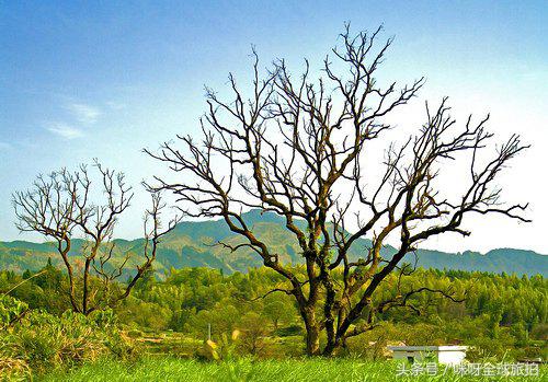 教你如何更好地构图咪呀婚纱摄影