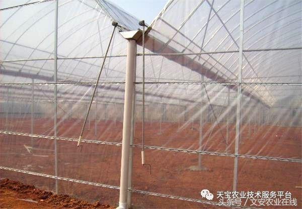 180米长14米宽温室大棚造价多少,温室大棚建造每平米价格