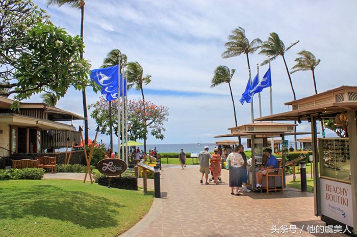 夏威夷去哪里购物比较好,夏威夷旅游攻略购物介绍