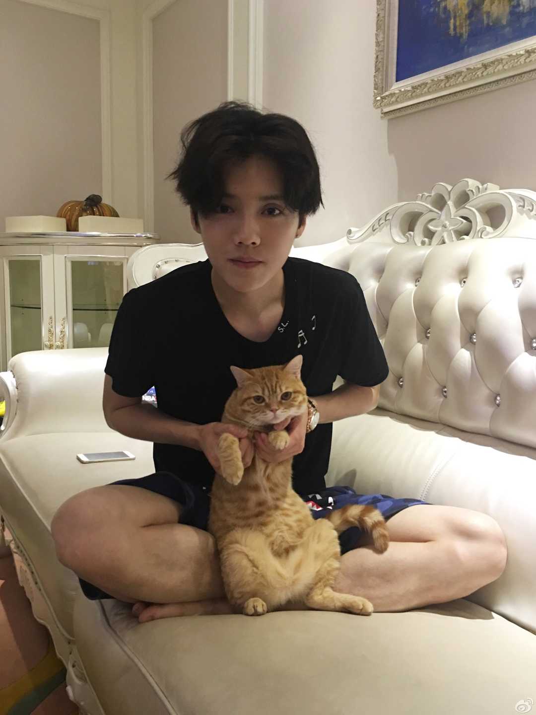 你们是因为什么喜欢鹿晗,你是从什么开始喜欢鹿晗的