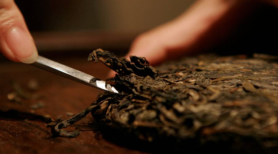 解茶教学,解茶最温柔的方法