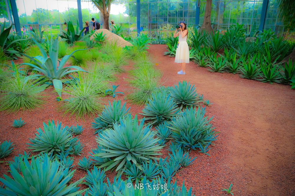 南通滨江公园亲子游,南通洲际绿博园有什么好玩的