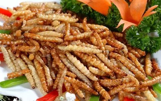 泰国清迈美食攻略,清迈马杀鸡店名推荐