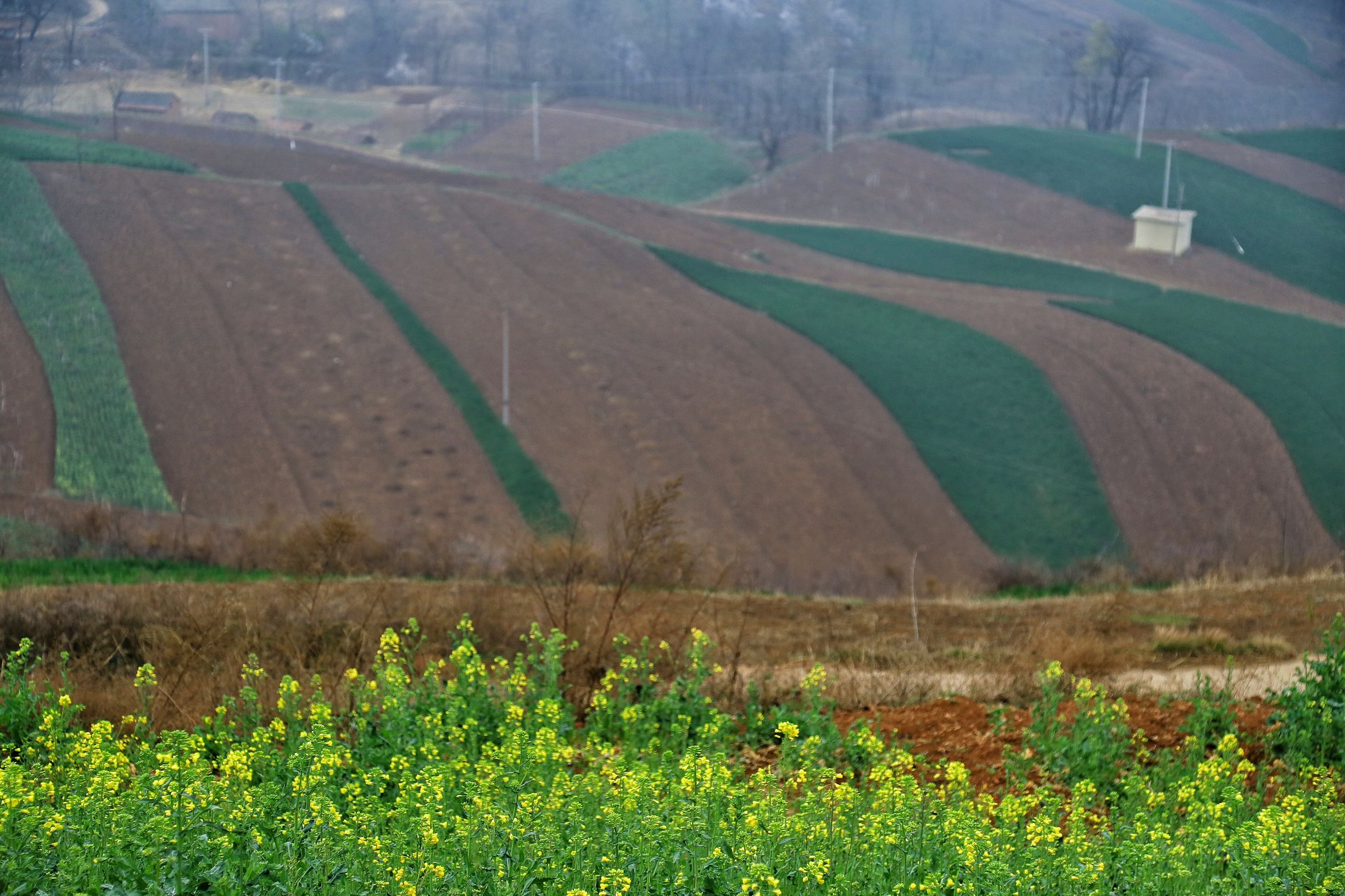 聚焦陕西蓝田泄湖镇,蓝田县洩湖镇发展规划