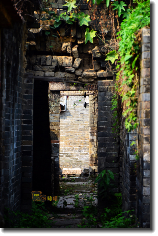 十二道锋味谢霆锋潮汕牛肉,十二道锋味隆苑咖啡谢霆锋