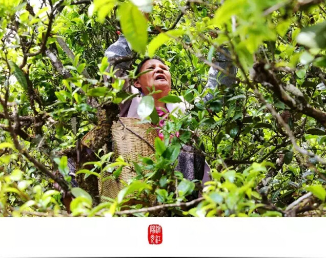 云南临沧美景图片,云南临沧旅行风景