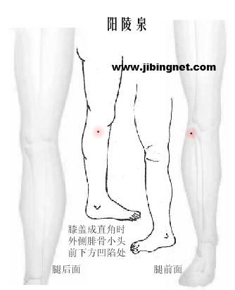 关于人体穴位图详解的书籍,人体12个最重要的穴位图片
