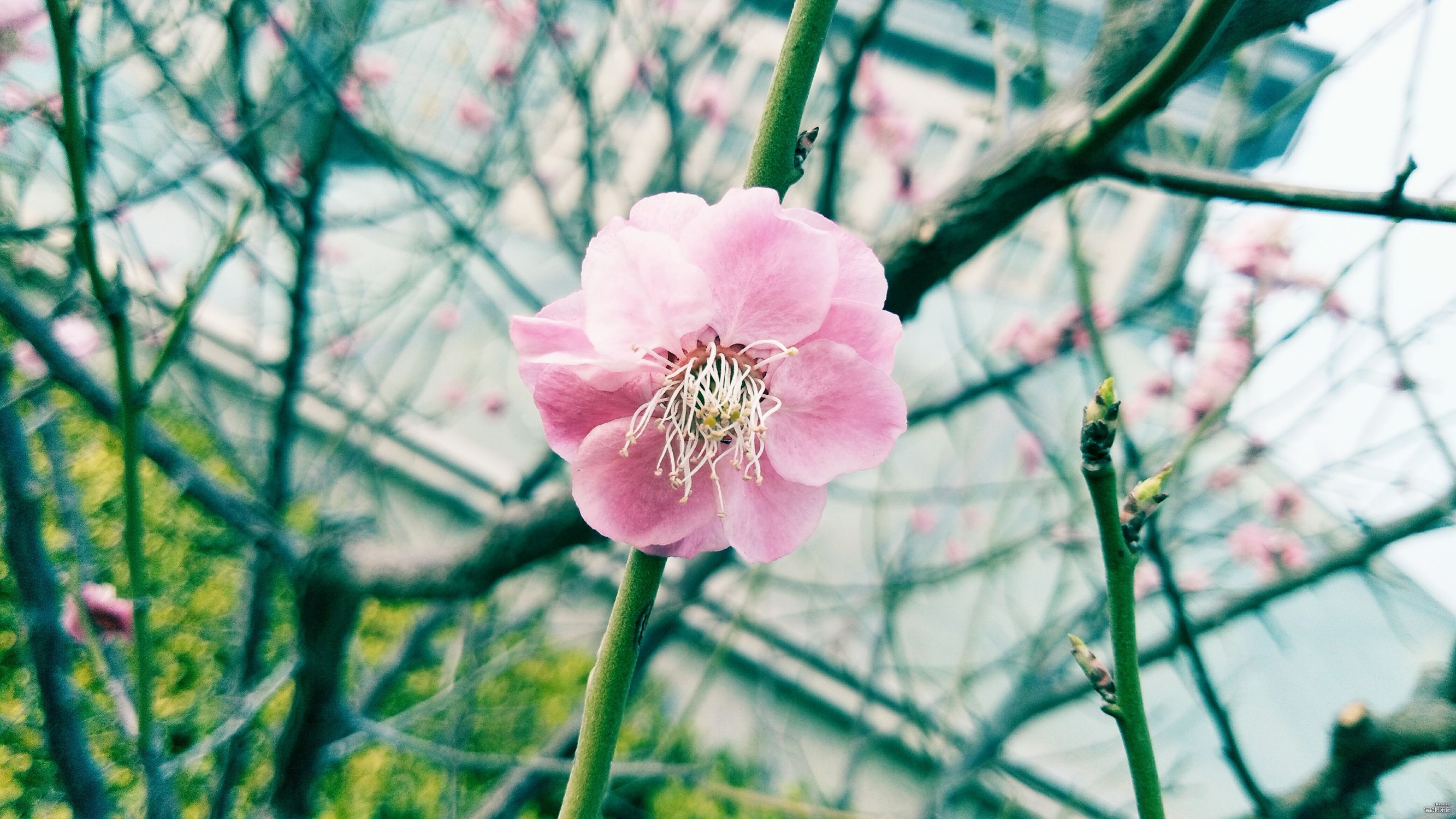 海信a1手机好吗,海信a1手机优缺点