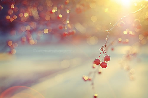 中级经济法中级会计实务,中级会计职称备考攻略