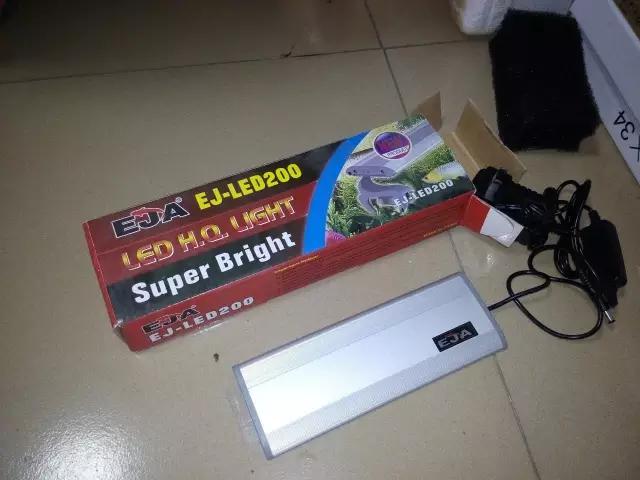 开缸的日记,开缸日记小鱼缸