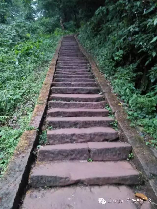 重庆到四川远吗,四川和重庆哪里远