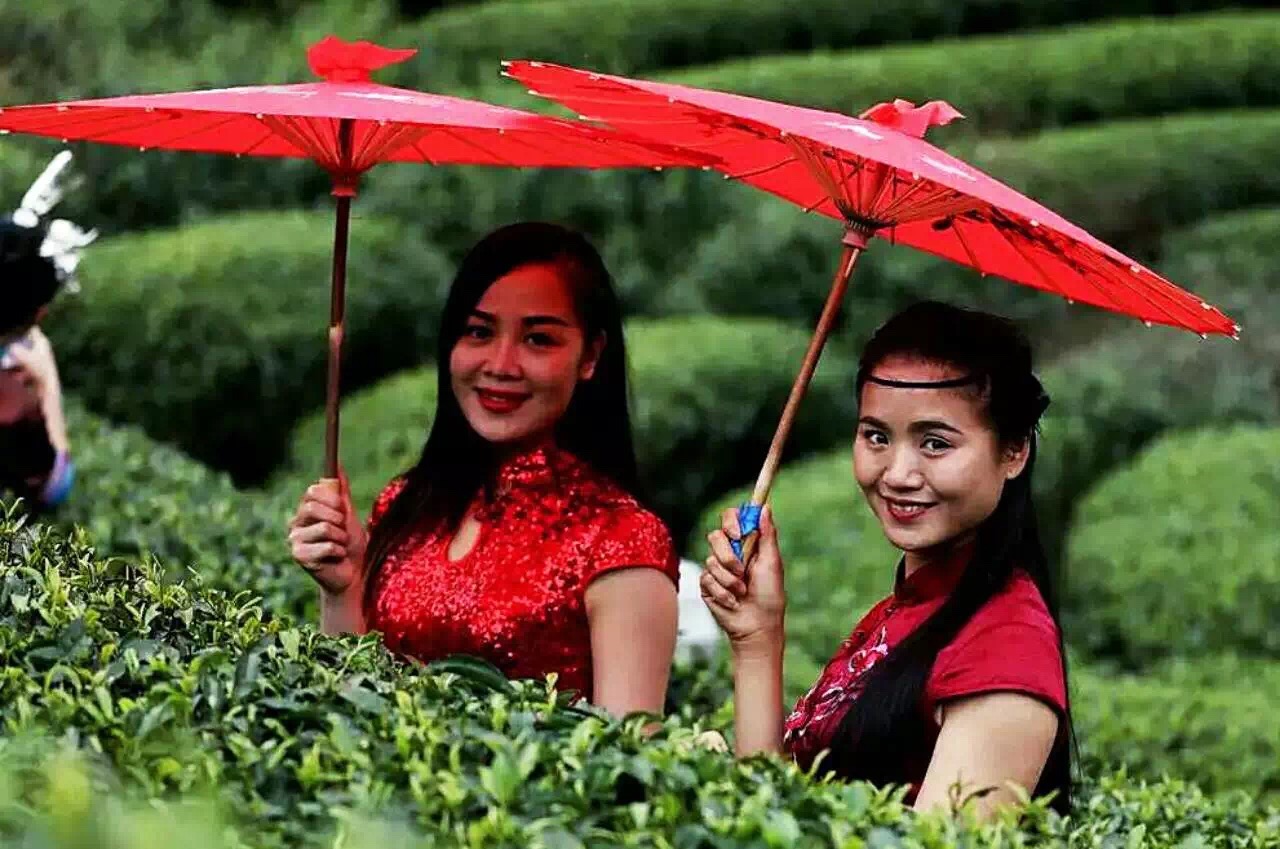 骞胯タ涓夋睙姊敯缇庡コ鍥剧墖,渚楁棌涓夋睙缇庡コ