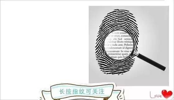 绚烂开放的金鱼草花,深紫色的金鱼草花