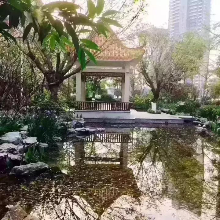 广州最美国际学校,广州最好的外国语学校