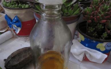 香油不止能当调料用，还有这6个妙用！