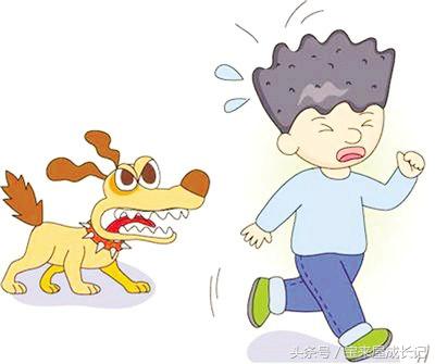 圣德育儿：孩子被狗攻击怎么办，是跑还是原地不动？赶紧教他自保
