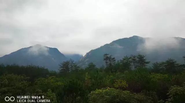 100万公里的比亚迪e6,比亚迪e6新能源车跑110万公里