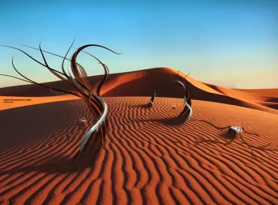 喵星人｜铲屎大大，发现一个超适合撸猫的地方……