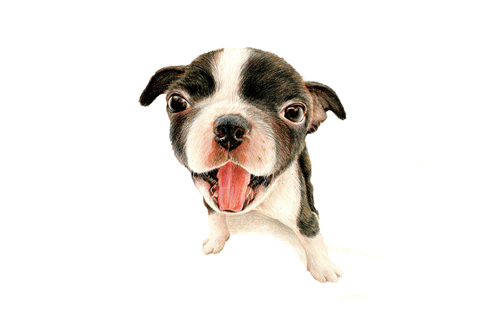 零基础画画指南快速学会绘画技巧,零基础超详细绘画教程