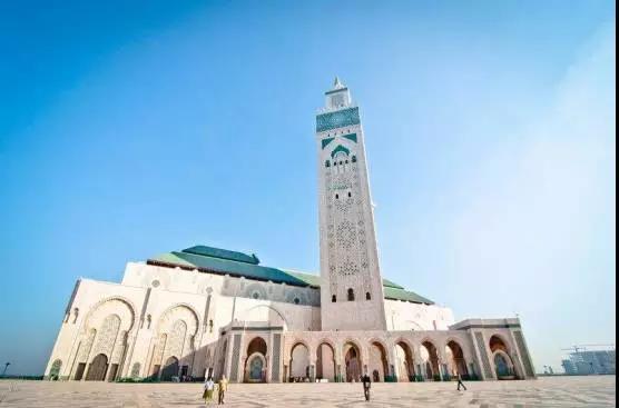 喵星人｜铲屎大大，发现一个超适合撸猫的地方……