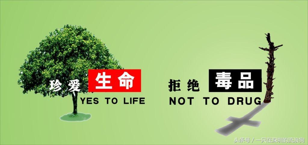 新型毒品丧尸浴,新型毒品浴盐