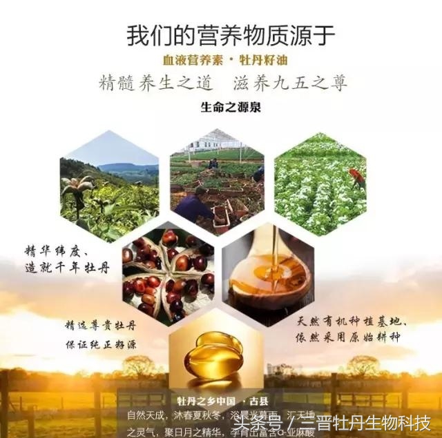 亚麻酸有什么药理作用,阿尔法亚麻酸中含有什么