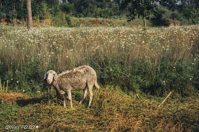 750块钱可以干什么,750块钱能干什么