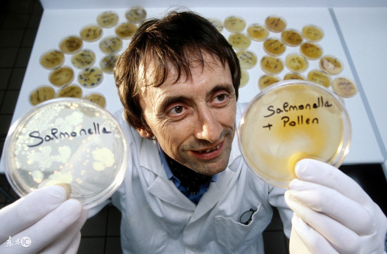 30w保健品,蓝帽保健品