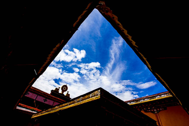 *藏西**的山石上,抱琴不愿归