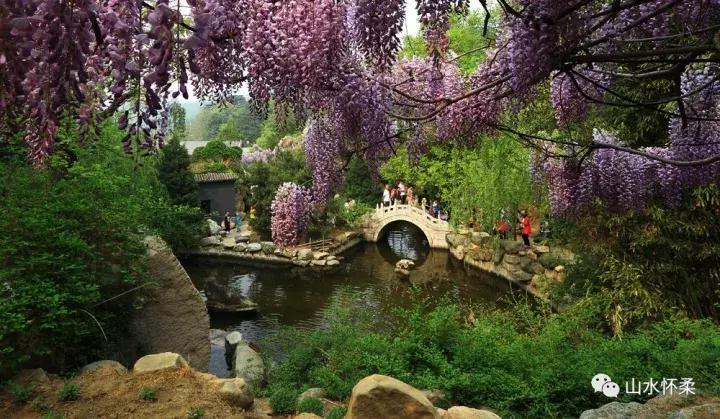 聚焦烟台黄渤海新区,聚焦烟台莱州辛庄