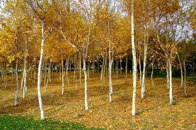 长春冬季最美拍照地,长春有一个很适合拍照的地方