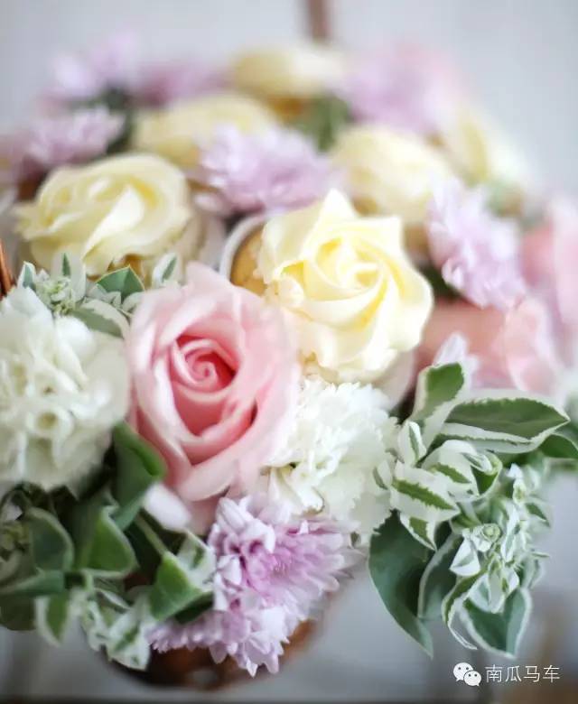 鍗楃摐椹溅鍙屽眰铔嬬硶,鍗楃摐椹溅濠氱ぜ铔嬬硶