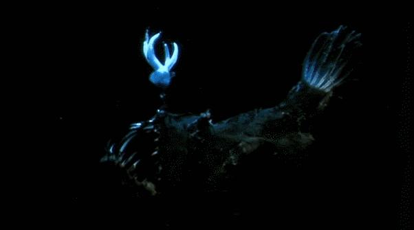 等了17年,等了你十七年