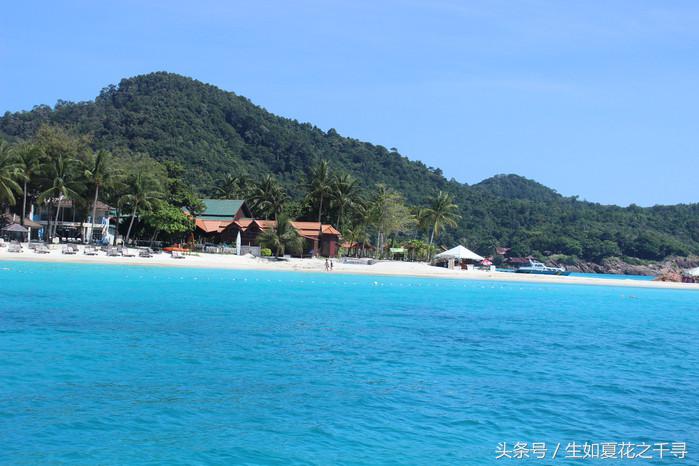 去兰卡威逗小鲨鱼，登嘉楼热浪岛浪一浪