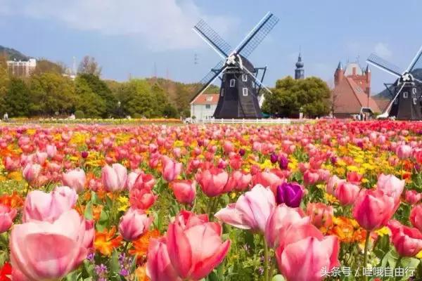 日本九州有哪些旅游景点,日本九州和本州哪里好玩