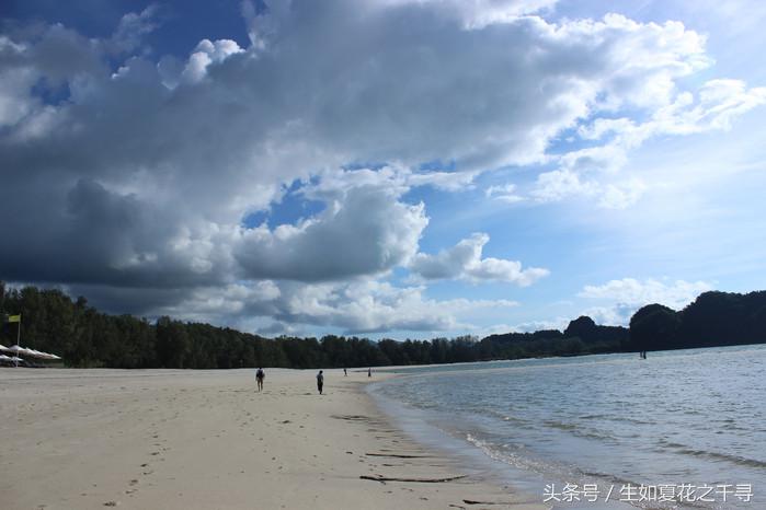 去兰卡威逗小鲨鱼，登嘉楼热浪岛浪一浪