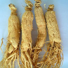 人参怎么挑选野山参,如何选择人参最好