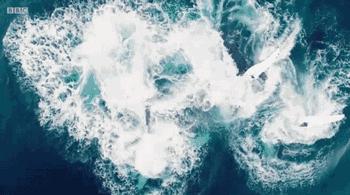 等了17年,等了你十七年