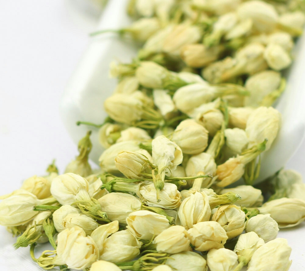 横县最美的茉莉小镇,中国茉莉之乡标志