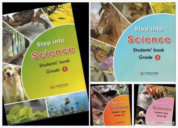 6个兰生、8个华育、25个张江,高调崛起的二梯队公办!